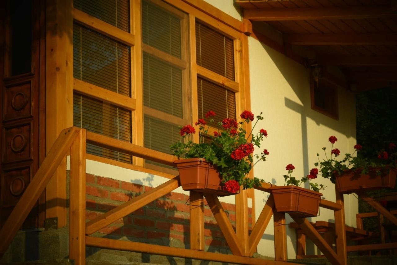 Sunset House Daire Ohri Dış mekan fotoğraf